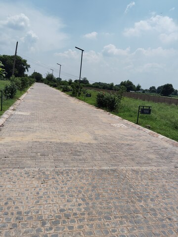 Plot Area in  Plot at Adore Smart City, Sector 97 – for Sale