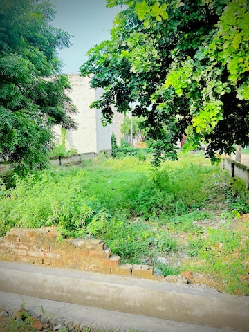  Plot – Garden View at Sheorajpur - for Sale