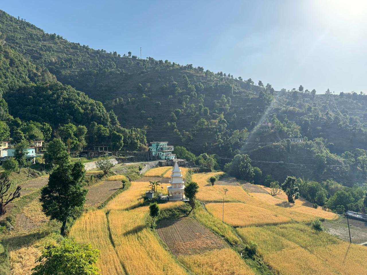 कॉमर्शियल लँड वर्ग फुट फॉर रीसेल इन जीएन नॉलेज पार्क 3 ग्रेटर नोएडा  7498399