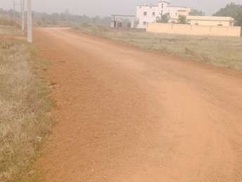 Plot For Resale in Hanspal Bhubaneswar  7498485