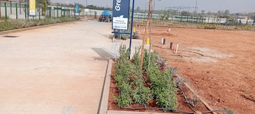 Plot For Resale in Dodderi Bangalore  7498857