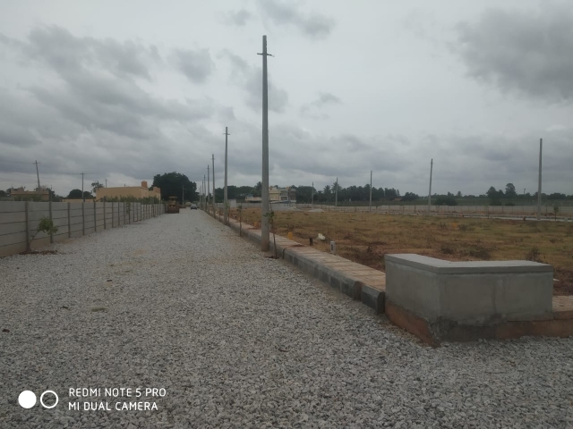 Plot For Resale in Yelahanka Bangalore  7498878