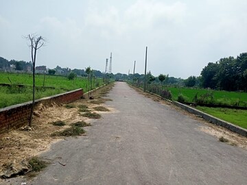 Plot Area in  Plot at Mohanlalganj – for Sale