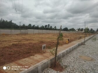 Plot For Resale in Yelahanka Bangalore  7499701