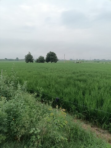 Commercial Land 16 Acre For Resale in Ladwa Road Kurukshetra  7500512