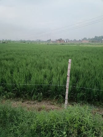 Commercial Land 16 Acre For Resale in Ladwa Road Kurukshetra  7500512