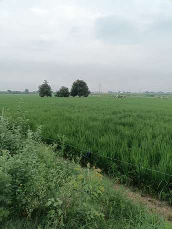 Commercial Land 3 Acre For Resale in Nh 1 Panipat  7500564