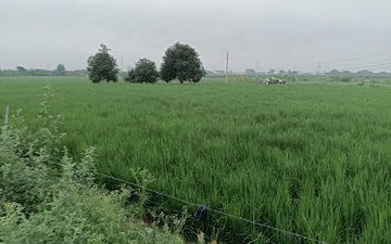 Land For Sale in Nh 1