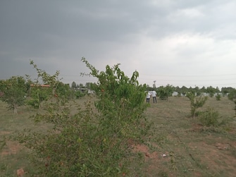 Plot For Resale in Ranga Reddy Hyderabad  7500538