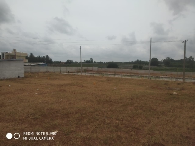 Plot For Resale in Yelahanka Bangalore  7500781