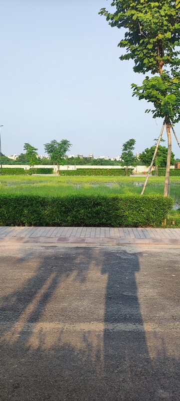 Plot Area in  Plot at BPTP District 3, Sector 85 – for Sale