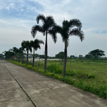 Plot Area in  Plot at Super Corridor – for Sale