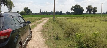 Plot Area in  Plot at Dashauli – for Sale
