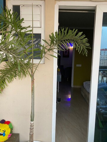 Balcony in 2 BHK Apartment at Panchsheel Greens II, Sector 16 Greater Noida – for Sale