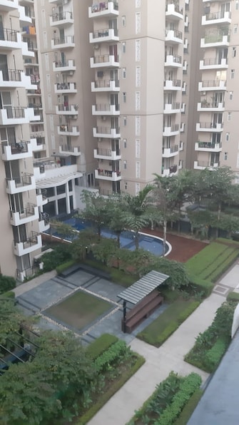 2 BHK Apartment For Resale in Panchsheel Greens II Noida Ext Sector 16 Greater Noida  7502390