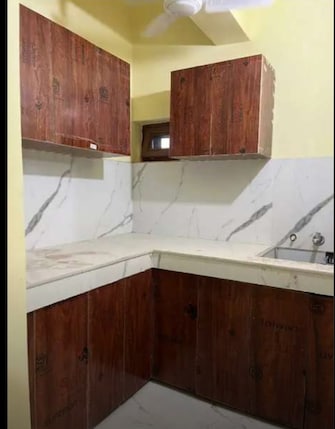 1 BHK Builder Floor For Rent in Sector 52 Chandigarh  7502646