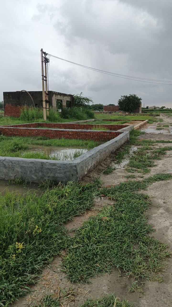 Plot For Resale in Bhopani Village Faridabad  7502826