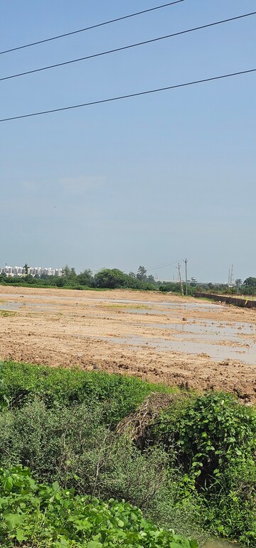  Plot – Exterior View View at Dholera - for Sale