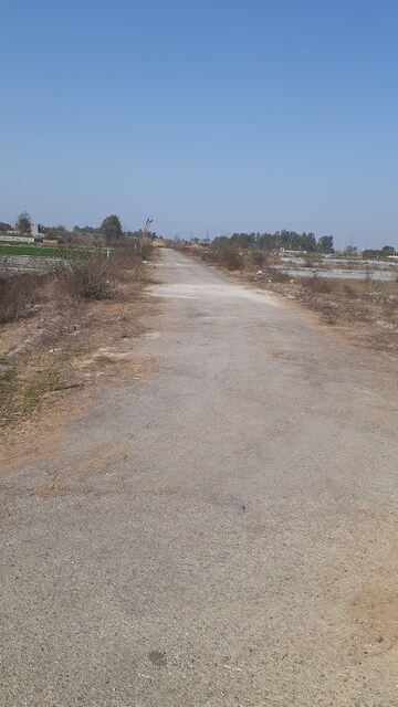 Plot Area in  Plot at Ansal  Sushant City Sonipat, Sector 61 – for Sale