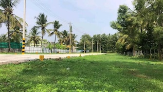 Commercial Land 1200 Sq.Ft. For Resale in Basavangudi Bangalore  7503340