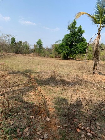 Plot For Resale in Ganpatipule Ratnagiri  7503715