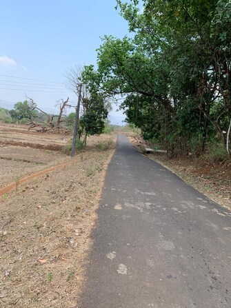 Plot For Resale in Ganpatipule Ratnagiri  7503715