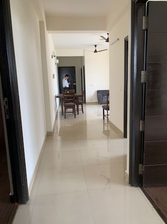 3 BHK Apartment For Rent in Sweta Central Park II Sector 48 Gurgaon  7504091