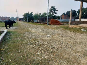 Plot Area in  Plot at Raebareli Road – for Sale