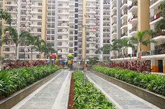 2 BHK Apartment For Resale in Panchsheel Greens Noida Ext Sector 16 Greater Noida  7504218