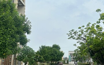 Plot For Sale in Ajanta Vardhman Emerald Greens, Siwaya Jamalullapur