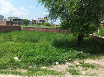 Plot Area in  Plot at Naubasta Kala – for Sale