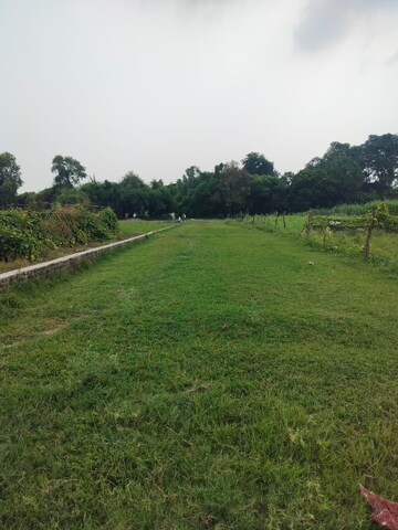 Plot Area in  Plot at Faizabad Road – for Sale