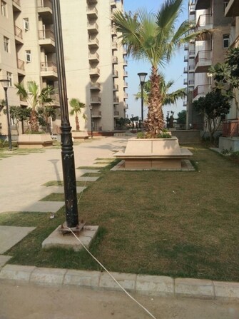 3 BHK Apartment For Resale in BPTP Park Elite Premium Sector 84 Faridabad  7504965