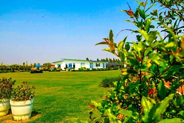 2 BHK Apartment – Garden View at Selectra Shubham Apartment, Sector 73 - for Sale