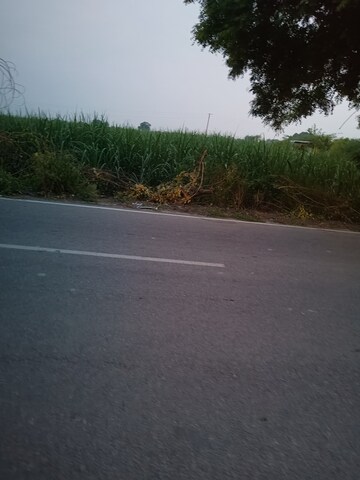 Plot Area in  Land at Bahalgarh – for Sale
