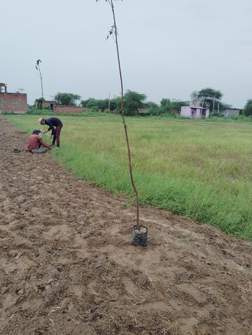  Plot For Sale in Farukh Nagar