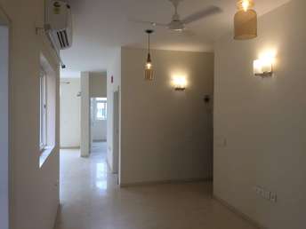 4 BHK Apartment For Rent in Emaar Emerald Floors Sector 65 Gurgaon  7505240