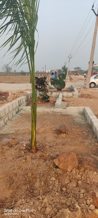 Plot For Resale in Sai Krishna County Sangareddy Hyderabad  7505323