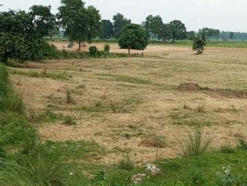 Plot For Resale in Gangaganj Lucknow  7505447