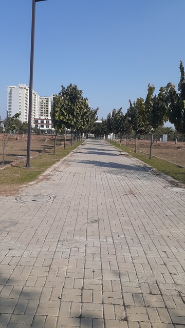 Plot – Exterior View View at Kundli - for Sale