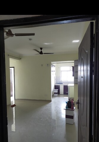 2 BHK Apartment For Resale in Mega Capital Tower Kursi Road Lucknow  7505758