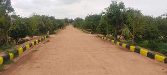 Plot For Resale in Vangapalli Hyderabad  7505797