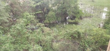 Plot Area in  Land at Ganesh Nagar  – for Sale