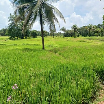 Plot Area in  Land at Ganesh Nagar  – for Sale