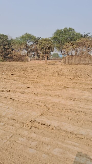  Industrial Plot For Sale in Sikri