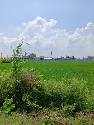 Commercial Land 2420 Sq.Ft. For Resale in Nagalia Palwal  7506611