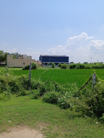 Commercial Land 2420 Sq.Ft. For Resale in Nagalia Palwal  7506611