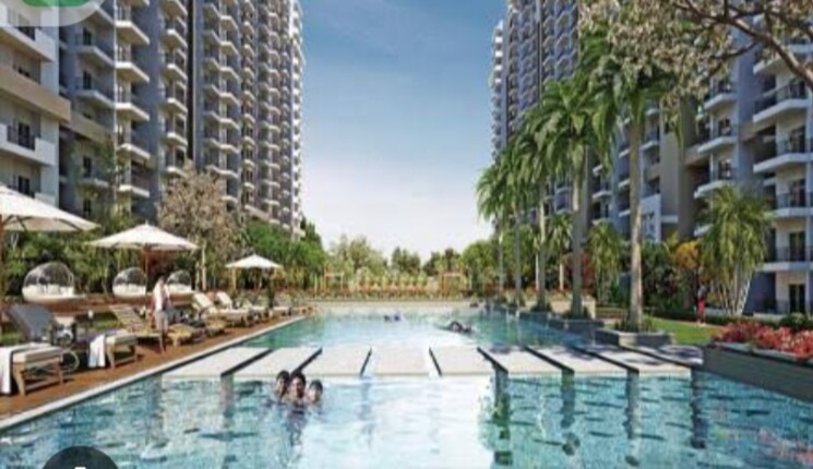 Swimming Pool, gulshan-bellina 2 Bedroom 1105 Sq.Ft. Apartment In Sector 16 Greater Noida Greater Noida 7506668