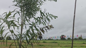  Plot – Map Location View at Shadnagar - for Sale