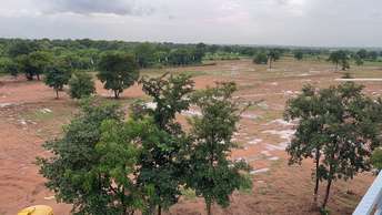 Plot For Resale in Shadnagar Hyderabad  7506707